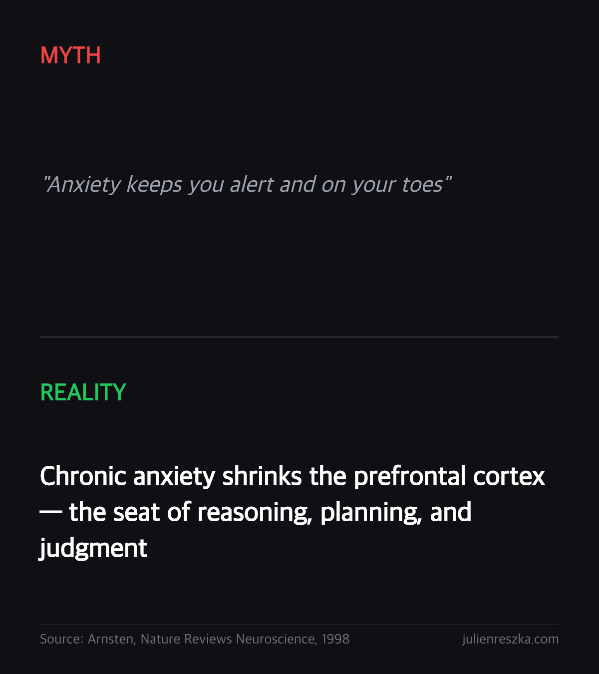 Myth: Anxiety keeps you alert and on your toes — Reality: Chronic anxiety shrinks the prefrontal cortex — the seat of reasoning, planning, and judgment